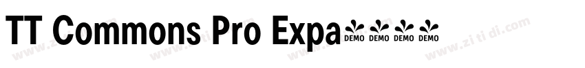 TT Commons Pro Expa字体转换